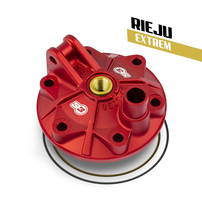 Головка S3 с золотой вставкой (низкая степень сжатия) Rieju MR300 20- / GasGas EC300 17-19