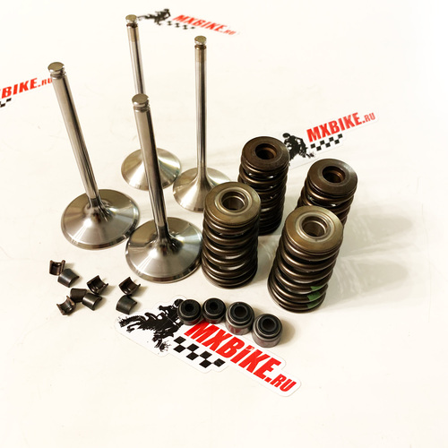 Комплект клапанов с пружинами KTM 450-530 EXC 08-13 / Husaberg FE450, FE501 12-13